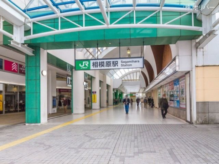 �_�ސ쌧���͌��s�����摊�͌�5���ڂ̈꓏����}���V�����̉摜